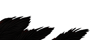 Left Feathers